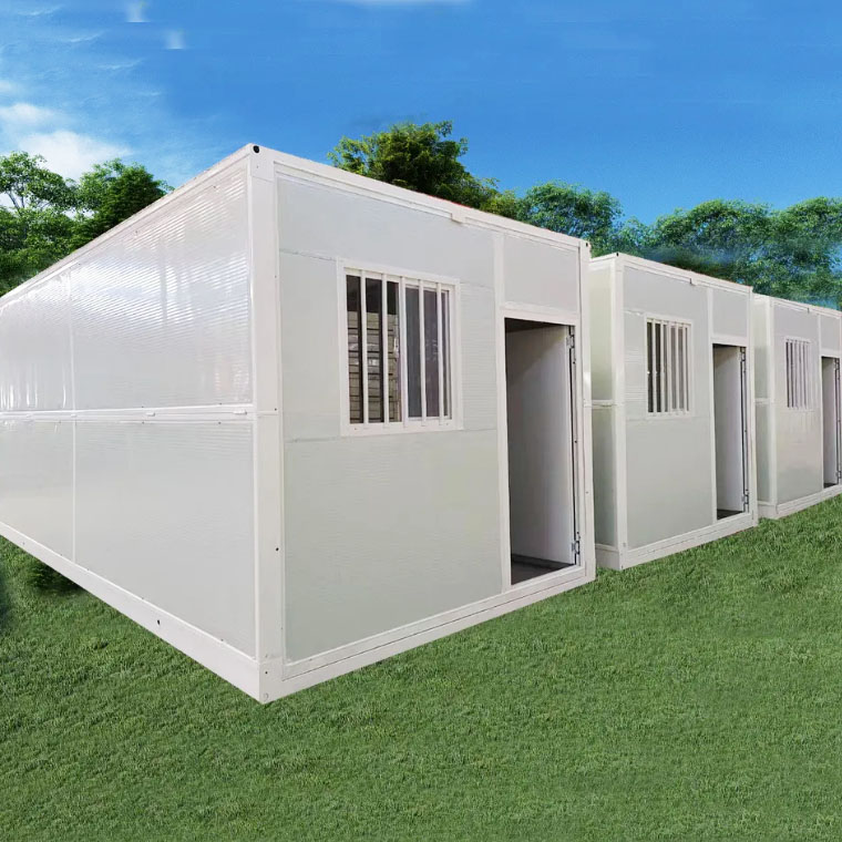 Subitis continens House